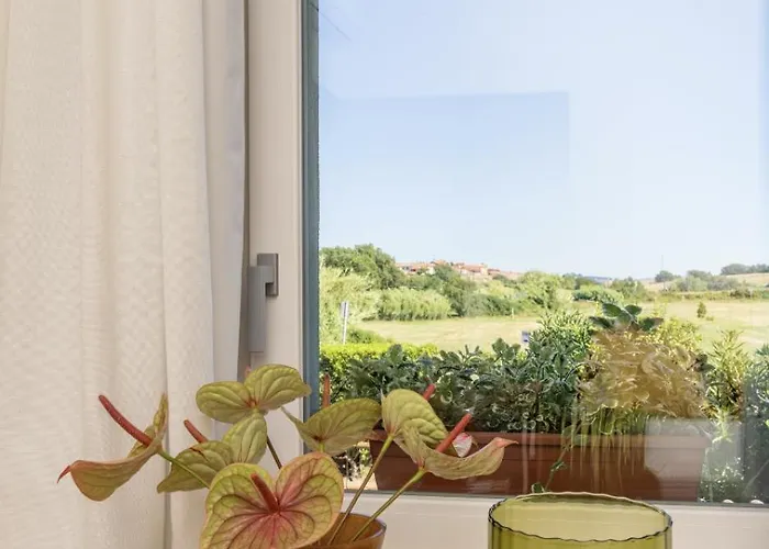 ゲストハウス Scarlea チェチナ